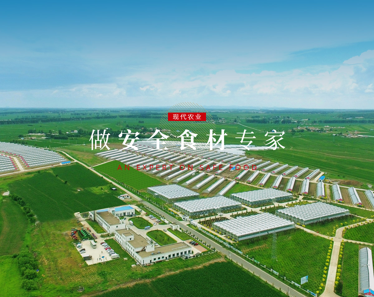 banner5_p9615812 888电子(中国游)有限公司官网